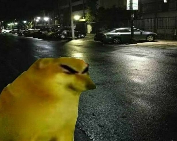 yo a las 2 am en la calle poniendo cara de malo para que no me asalten