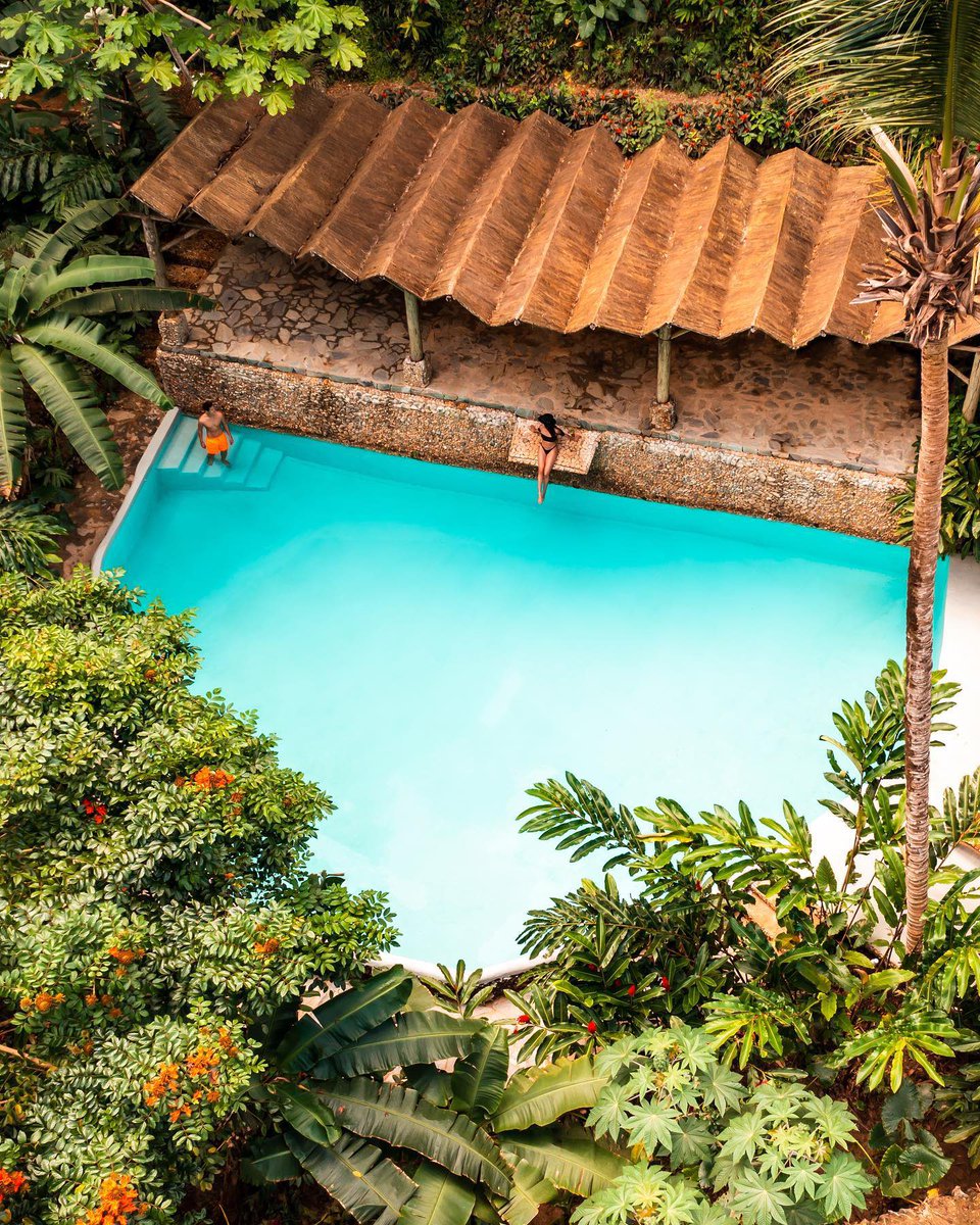 Wizzacom's tweet photo. ENDING SOON🚨 Win a 4 night stay for 2 at the Dominican Tree House Village!

#travel #vacation #treehouse #dominicanrepublic #trip https://t.co/YMqoBaoToJ