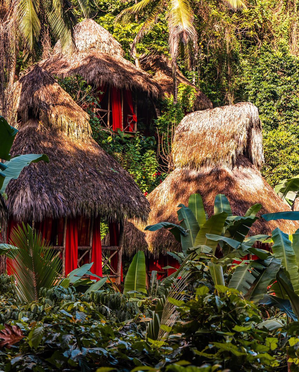 Wizzacom's tweet photo. ENDING SOON🚨 Win a 4 night stay for 2 at the Dominican Tree House Village!

#travel #vacation #treehouse #dominicanrepublic #trip https://t.co/YMqoBaoToJ