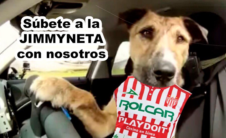 Club Necaxa tweet media