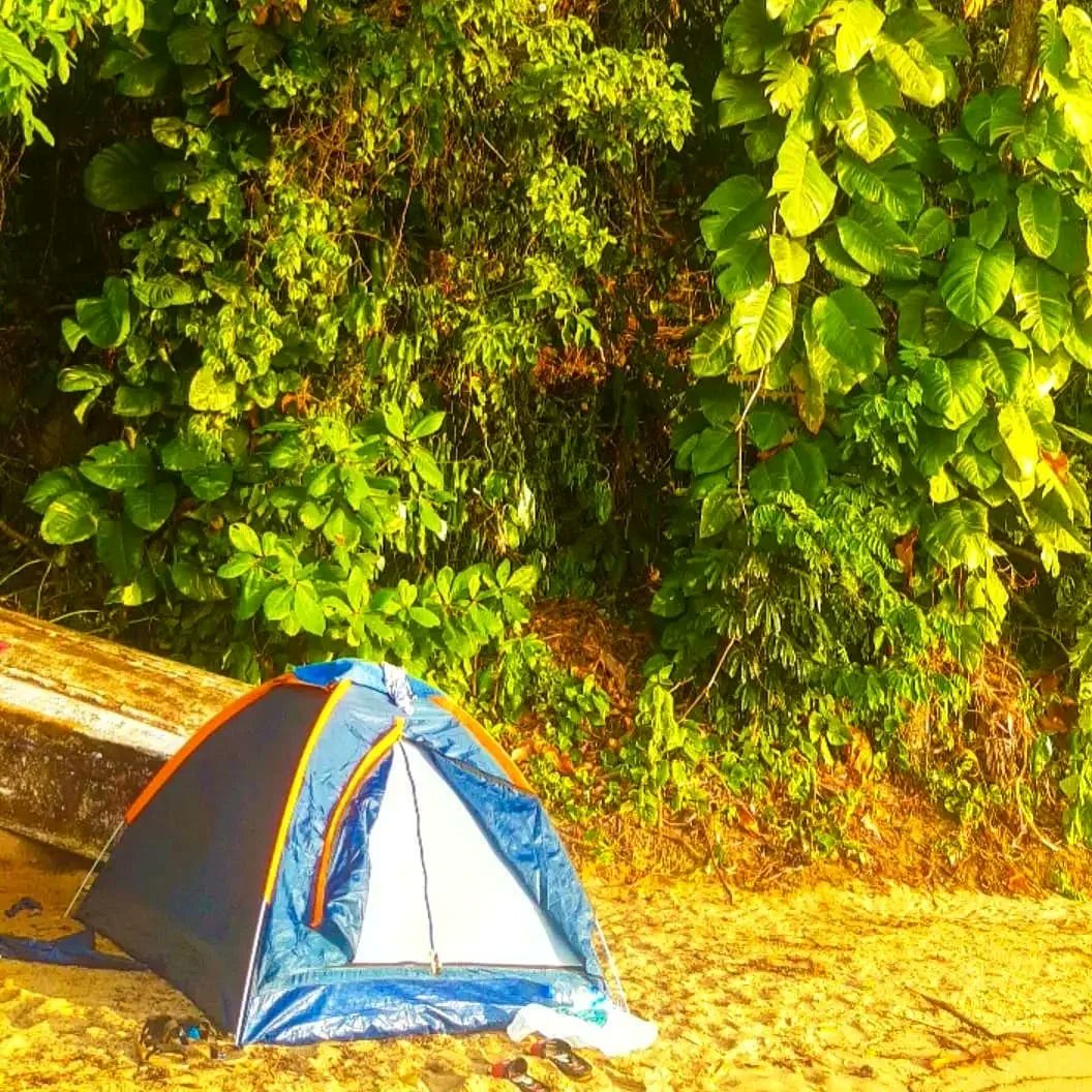 Gzuisj's tweet photo. Colecionador de experiências🍃 https://t.co/58zAu8ICWl