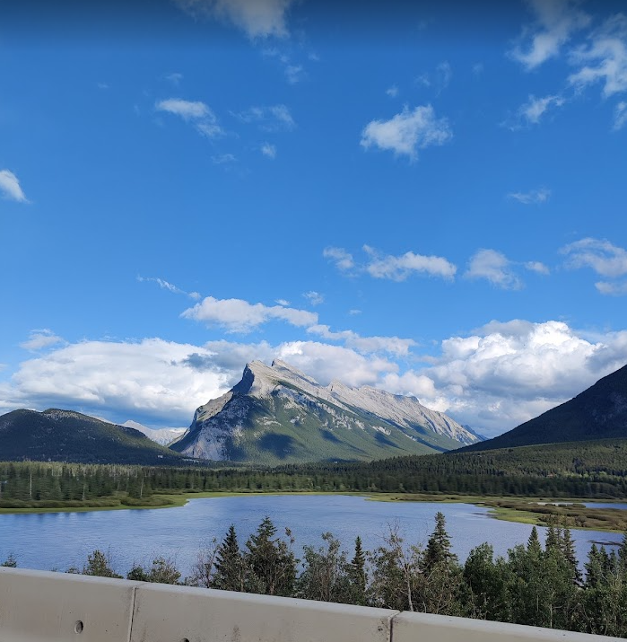 Chael Philips tweet media