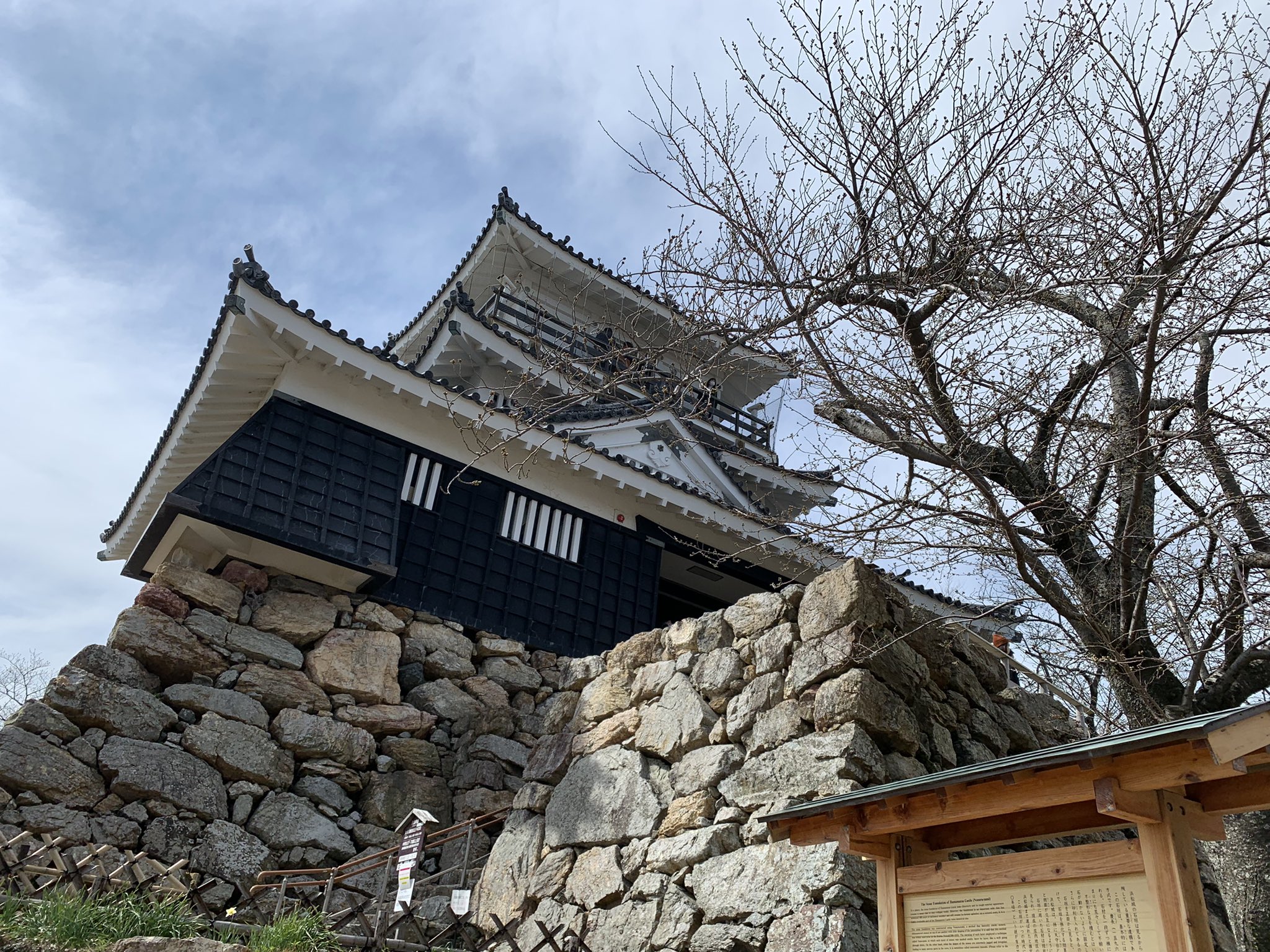 ホテルコンコルド浜松 公式 浜松城の桜も少しずつ 春の装い 3 19の桜です お散歩の前後にランチバイキングなんていかがでしょう コンコルド浜松 浜松城 桜 浜松ランチ バイキング お花見 T Co Smxjlodjan Twitter