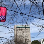 ツイートに含まれる画像