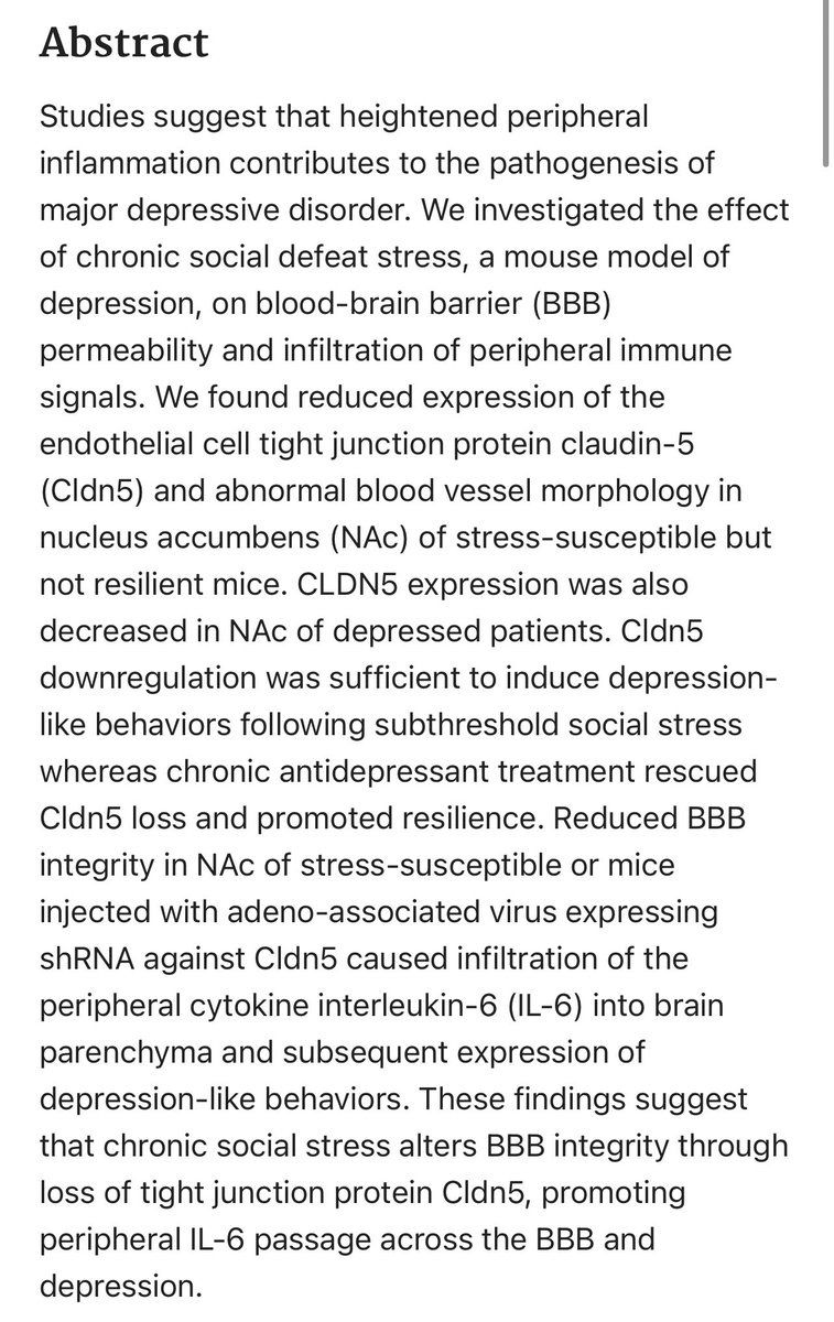Grimhood's tweet photo. Social stress induces neurovascular pathology promoting depression https://t.co/Nze3QlNxK5

Social stress (isolation included in definition) induces leaky blood brain barrier and neuroinflammation (brain/CNS irritation, can manifest as depression/anxiety and irritability). https://t.co/tnZUWIUwgO