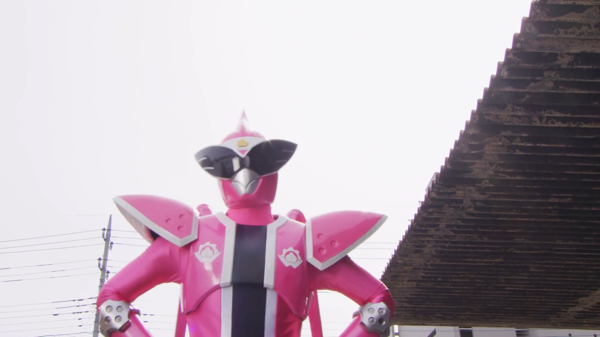 ドンたろページです Don't Boo! Donbrothers | RangerWiki | Fandom