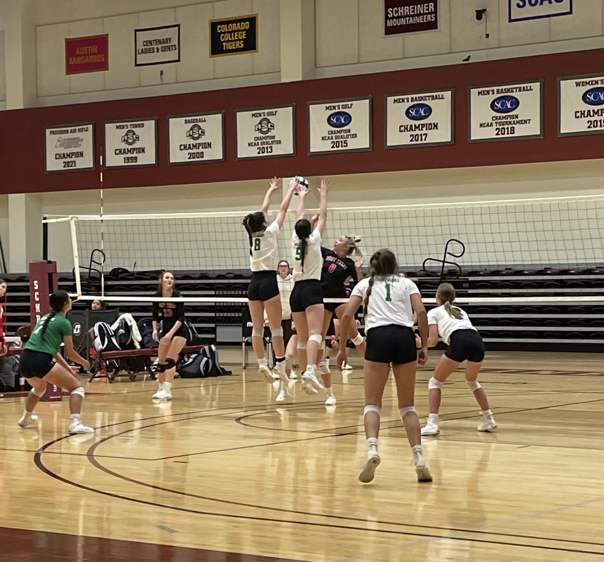 Tourney Day 1 ✅