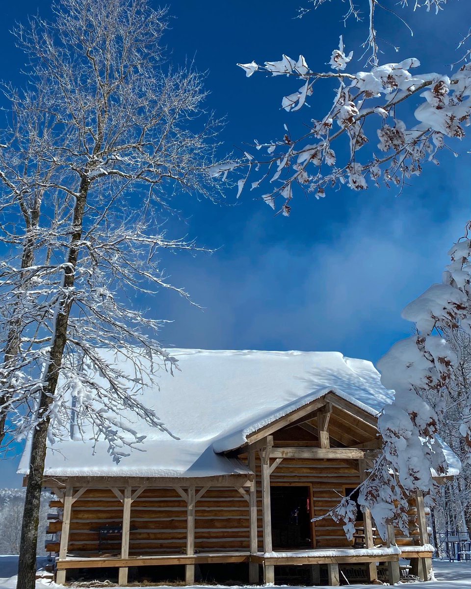 FarmerRidge's tweet photo. Snowy cabin
.
#Alaska #logcabin #cabin #mountains #nature #snow #WINTER https://t.co/iQUSc0q0AZ