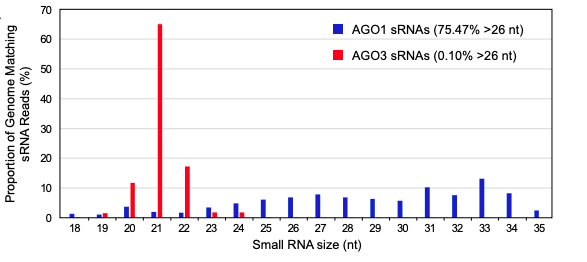 sRNAPapers's tweet image. Novel #piRNA-like #smallRNAs in the alga Chlamydomonas bind AGO1 and are up-regulated by nutrient deprivation doi.org/10.1101/2022.0…;