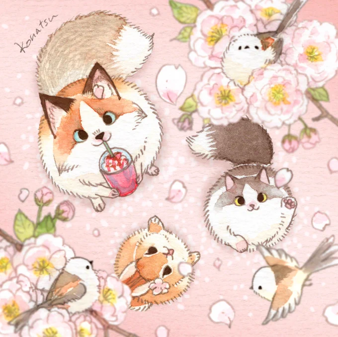 ふわふわ八重桜🌸 