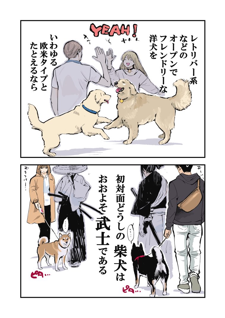 初対面の柴犬どうしが出会うと
大体こんなイメージ 