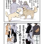 初対面の柴犬同士が出会うと？まるで武士のような緊張感が出る!