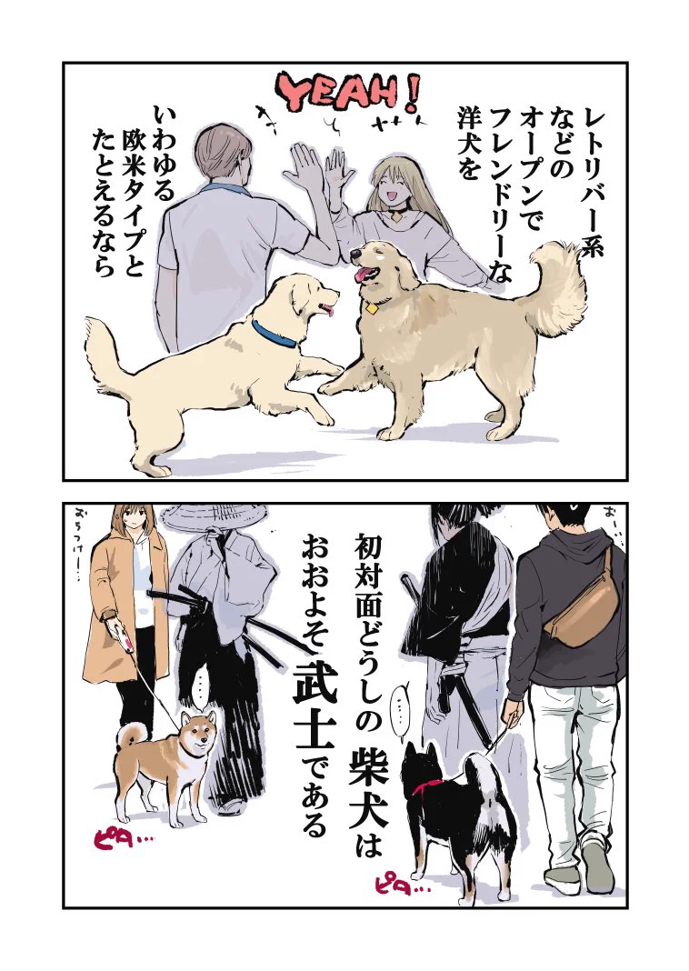 初対面の柴犬同士が出会うと？まるで武士のような緊張感が出るwww