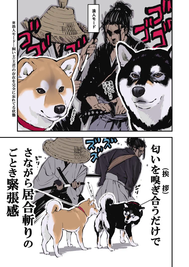 初対面の柴犬同士が出会うと？まるで武士のような緊張感が出るwww