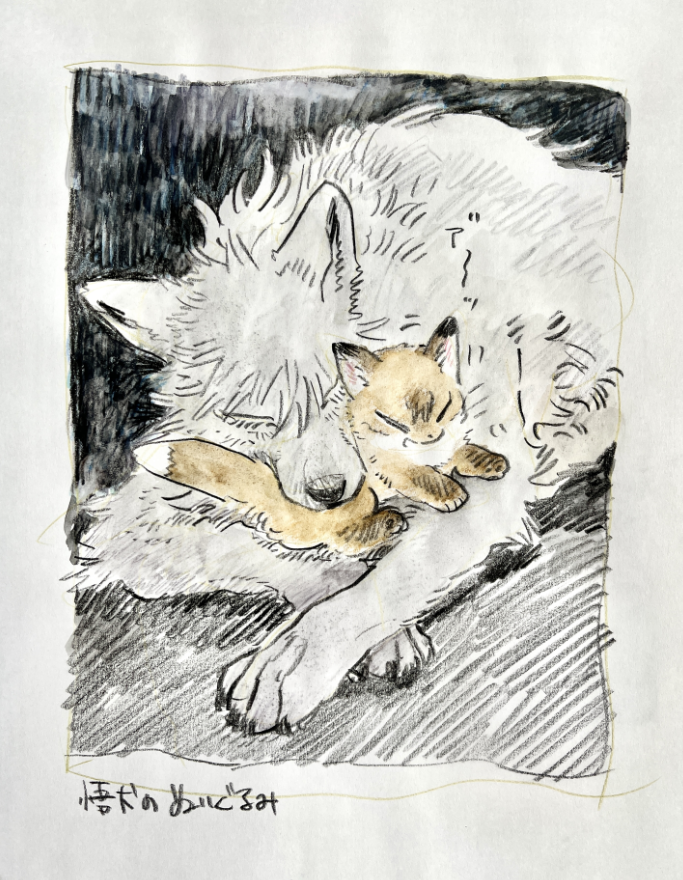 さまざまなナオヤ(獣化) 