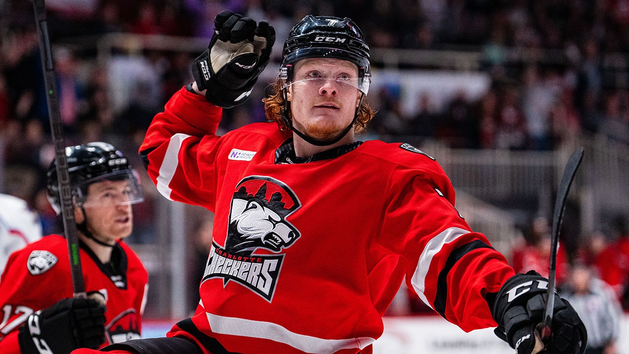 American Hockey League on Twitter "The NHLFlyers have acquired forward Owen Tippett, a 3rd