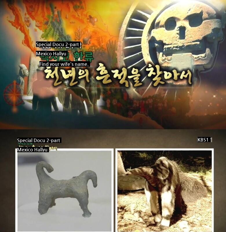 gnuhc126's tweet image. A few years ago, a documentary that was broadcast on a public broadcasting station in Korea, wwww. 
en.imgtag.co.kr/issue/136624/?… 
 
#Broadcasting #documentary_film #Korea #public_service