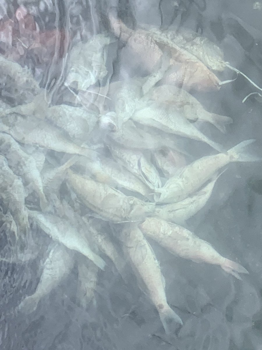 PaulWelsh MBE 🇺🇦 tweet media