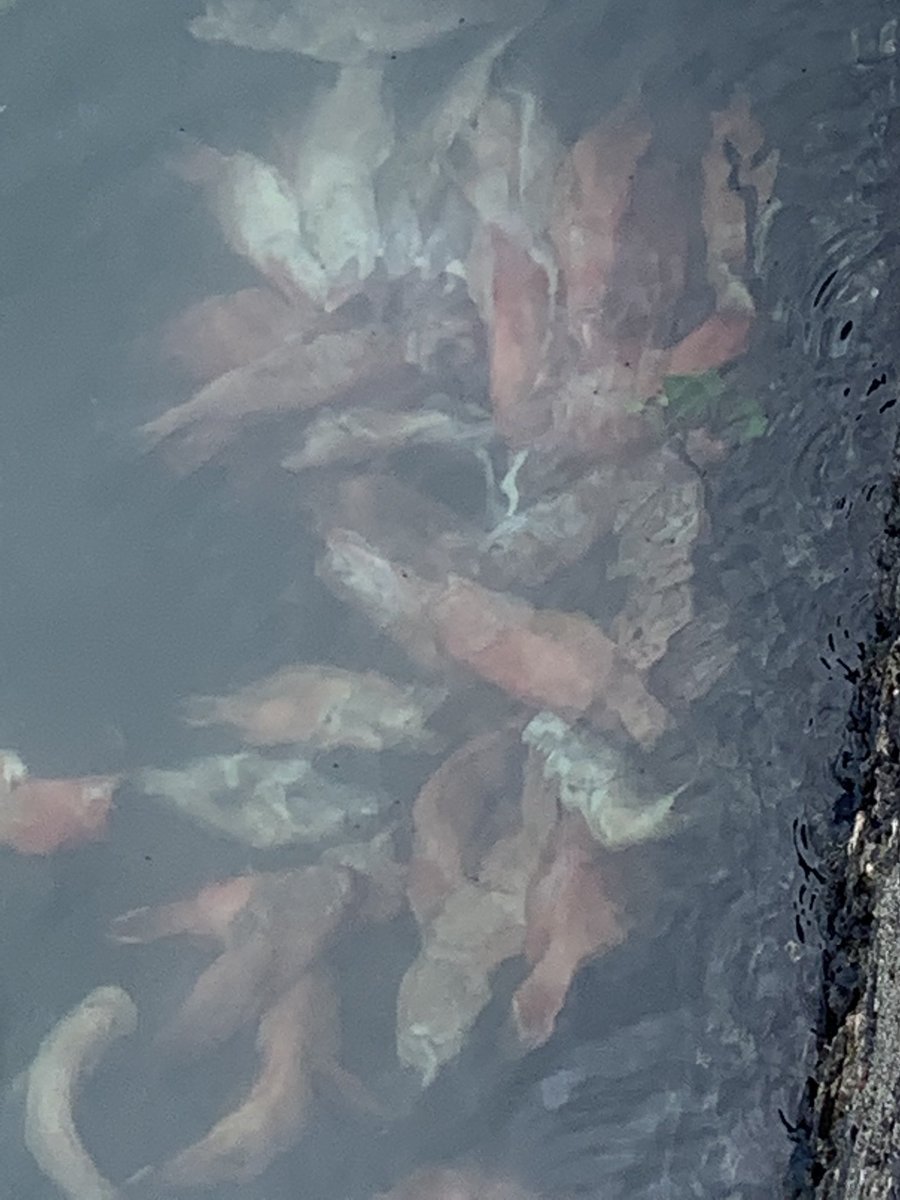 PaulWelsh MBE 🇺🇦 tweet media