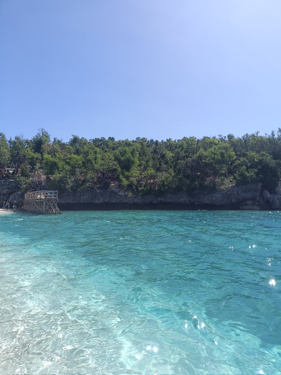 Jacob_338's tweet photo. オスロブに来た目的の2つ目、スミロン島(Sumilon Island)に行きました。初めてでしたが海水の透明度が高く綺麗なビーチでした。数時間の滞在でしたがとんでもなく日焼けしました。
#Sumilon #Sumilonisland #Oslob #オスロブ #Sumilonislandsandbar https://t.co/sr6pzjiMjX