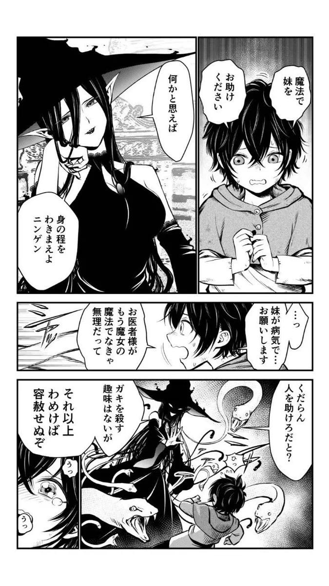 「人間に身の程をわきまえて欲しい魔女」と「魔女をお母さんだと思っている坊や」の取引。