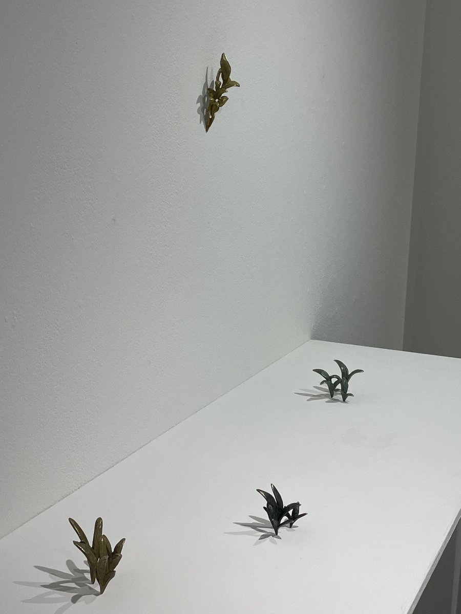 jinengallery's tweet photo. 本日最終日!
展示は16時迄☀️🤩
2022年3/15(火)〜3/20(日)
【A室】#河野太郎 展
【B室】#奥澤華 展
#art #contemporaryart #kogei #hanaokuzawa #tarokawano #metalcast #metalcasting #sculpture #植物 #建物 #工芸 #鍛金 #鋳金 #金工 #技巧 #錆 #緑青 #タンク #日本橋 #小伝馬町 #馬喰町 https://t.co/DBaNzAqyS2