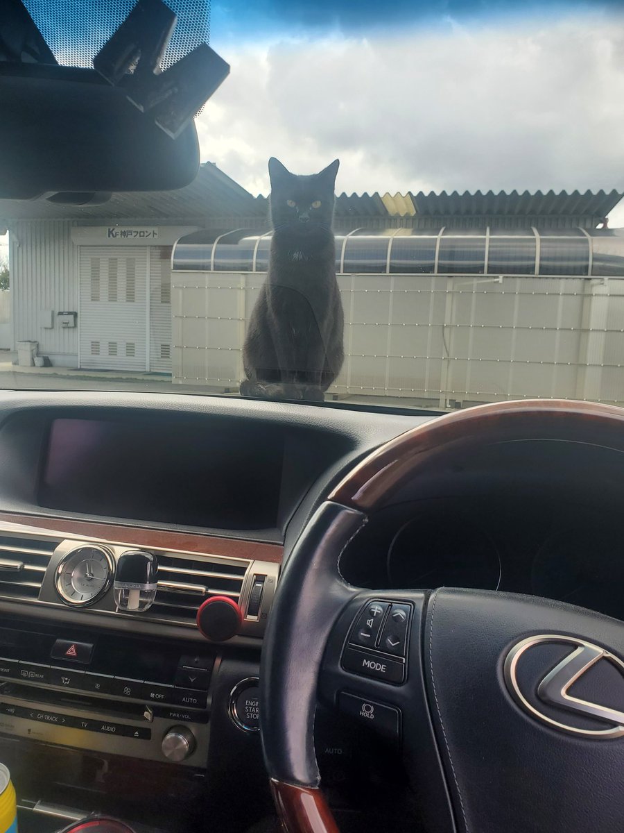 5926pop's tweet photo. 許す https://t.co/XtXGLs3JKp