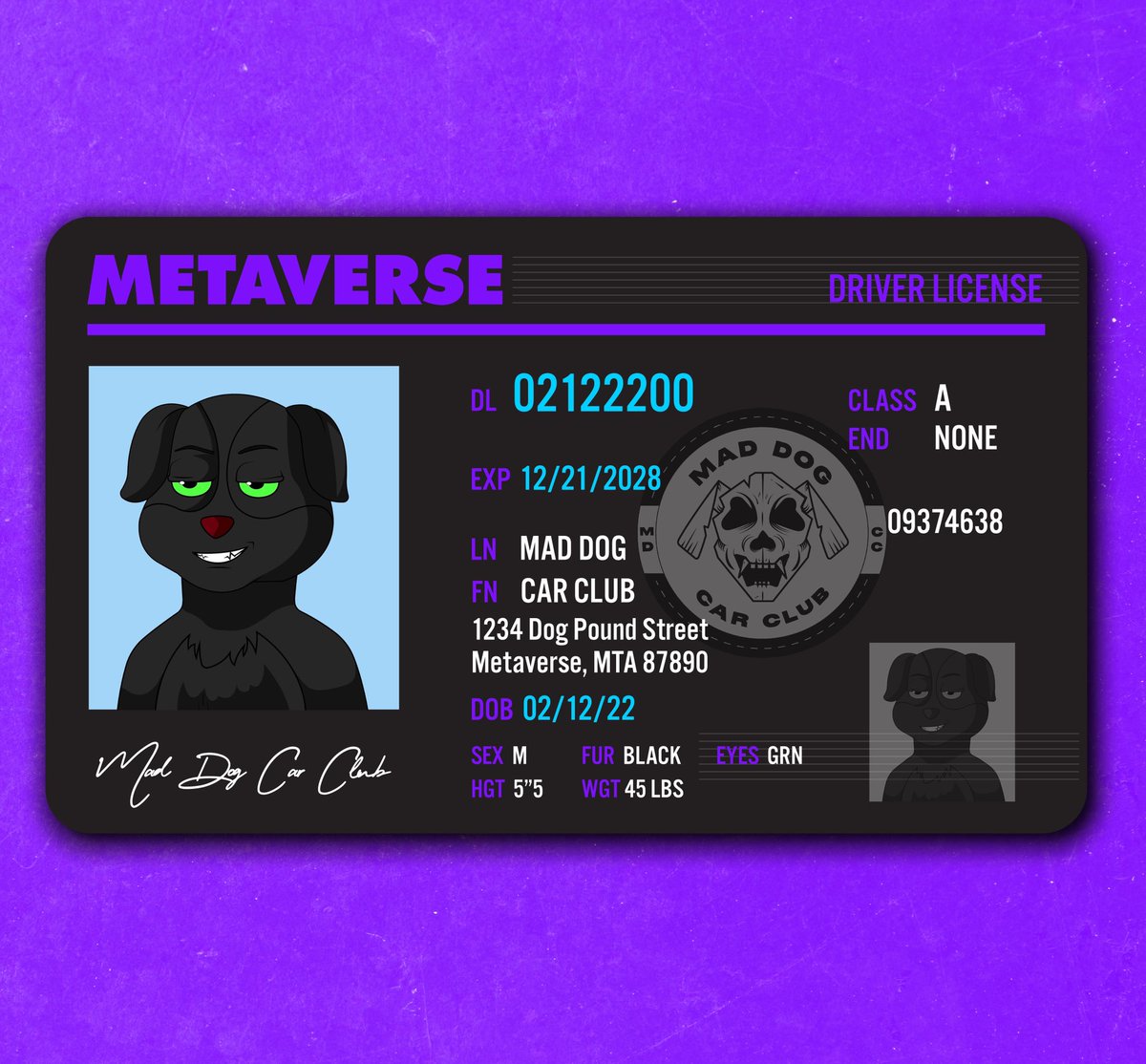 Get licensed with MDCC 🐶
 
For a one way ticket into Metaverse 🎟

🚨 Retweet &amp; Tag 3 friends 🚨

We will choose 5 comments below to receive Tier 3 Whitelist 😁🤝 

Winners will be announced on 3/24 

#nft #cnft #nftcommunity #CNFTCommunity #Crypto #cars