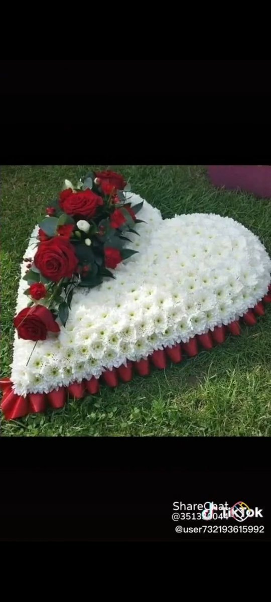 ShivaSJS's tweet photo. @Kavitha04778245 Good morning baby and very nice back https://t.co/ZQCvKGiW3F