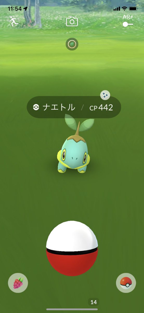 ポケモンgo ナエトルの入手方法 能力 技まとめ 攻略大百科