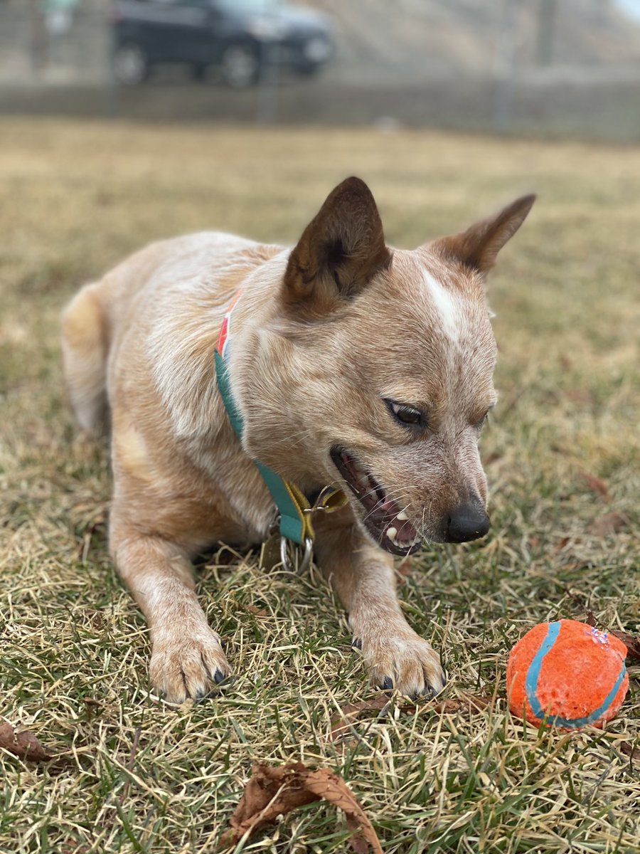 Vic, Hayden & Arlo tweet media