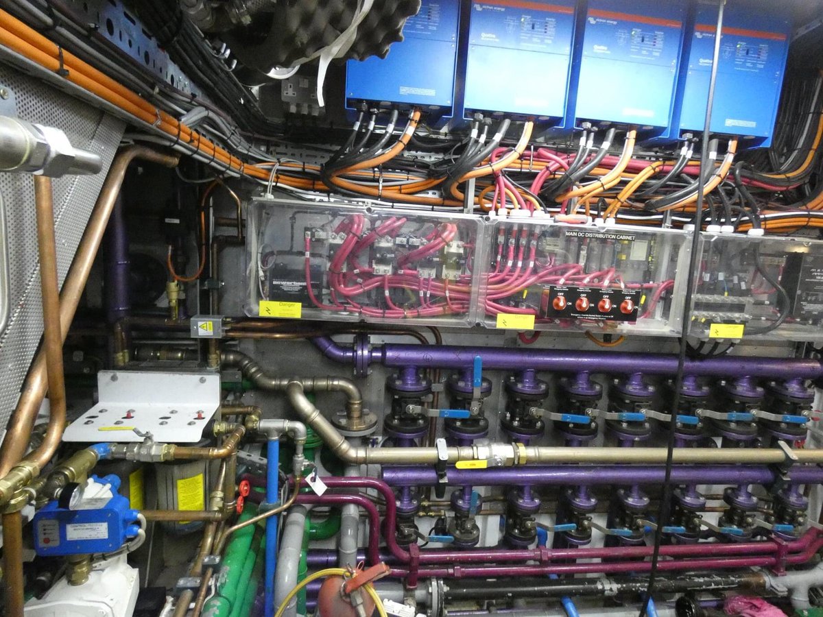 hoffmannoliv1's tweet image. 