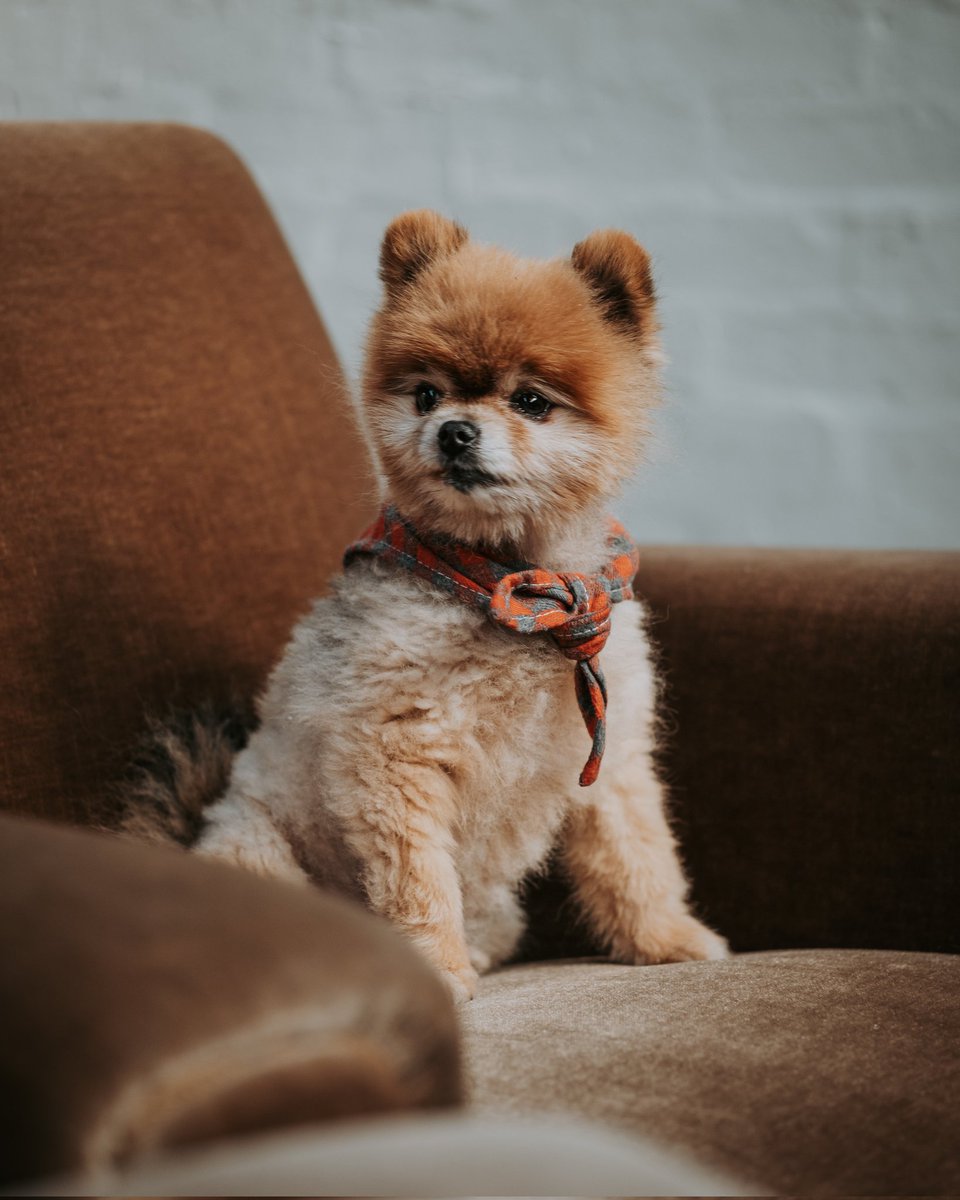 HockleySocialCl's tweet image. Lovely day for it in Hockley. 

Market runs from 11-4pm, food served til' 6, bars close at 7. ✌️