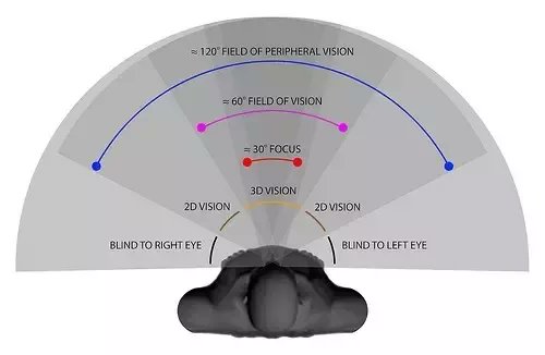 flatearthmoon's tweet photo. #flatearth The human eye angle of view is 120° of view, meaning the horizon is longer in length than the distance to the horizon from the observer point of view &amp;  debunking any beliefs that the horizon is the curve at only 3 miles away from 6ft high. https://t.co/5OP3b5wmP3