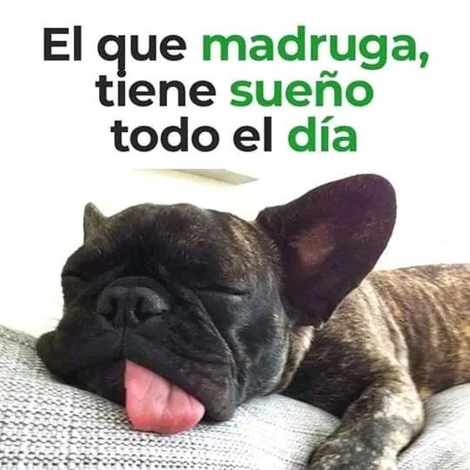 FOR0Rj0XIAAer6N