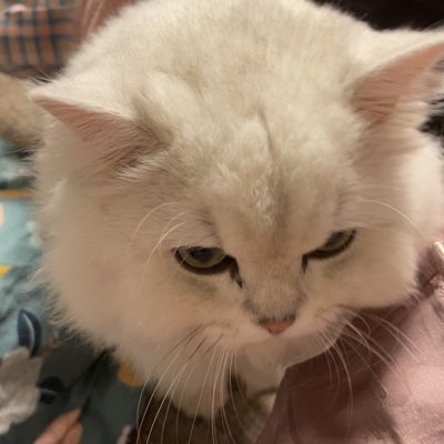 XyzFwz's tweet photo. #新头像 https://t.co/BH75S1t1i0