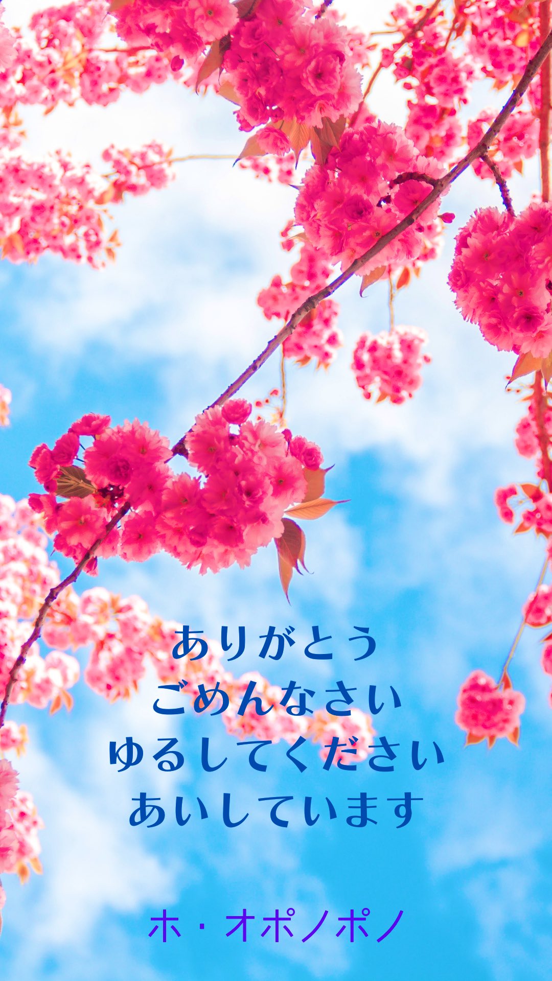 ホオポノポノ Twitter Search Twitter
