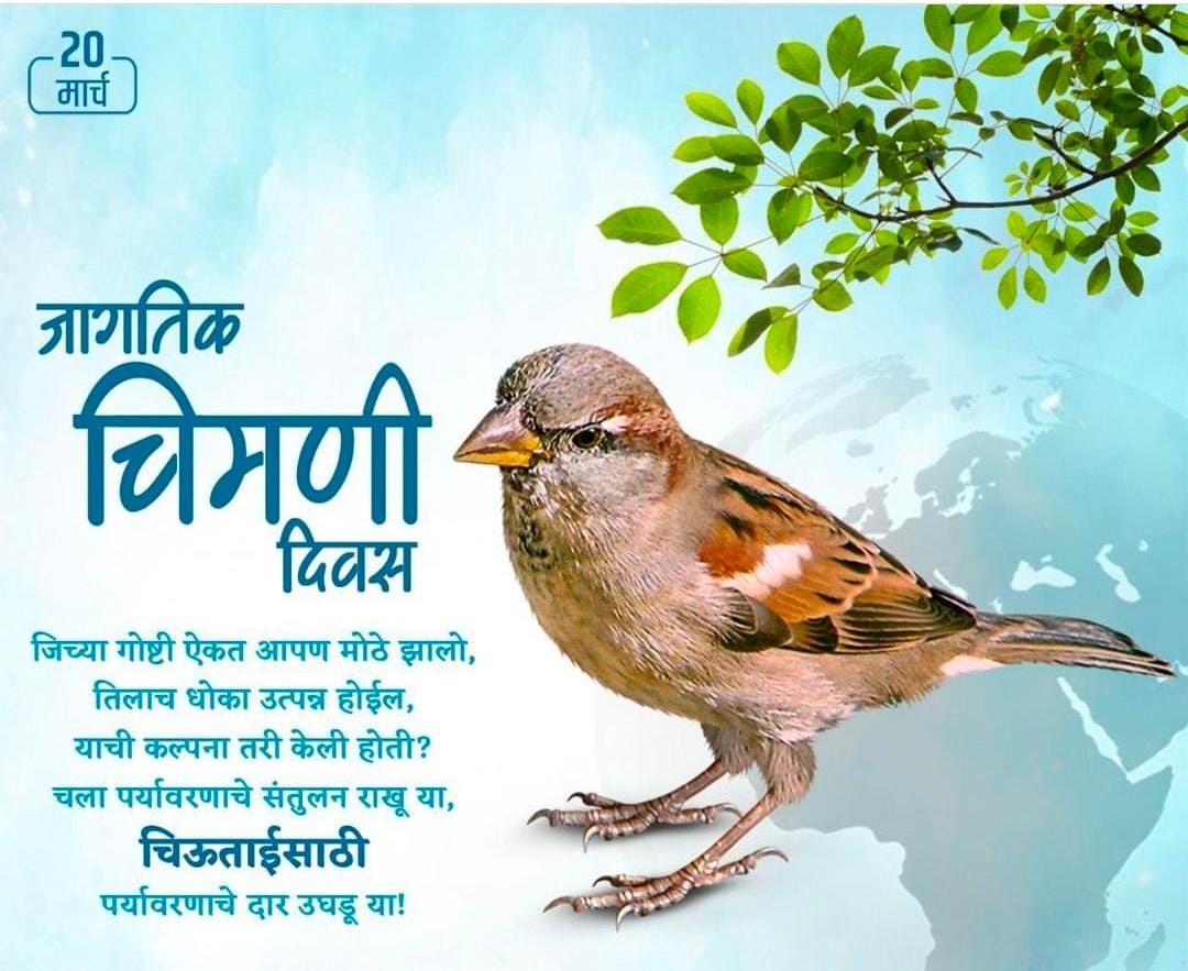 Save sparrow-Save environment ! #WorldSparrowDay ,#SparrowDay2022 ,#sparrowday