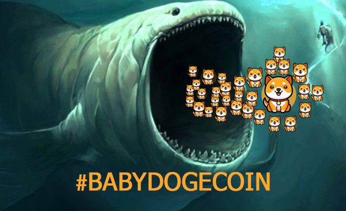 Azadrostami1's tweet photo. @JohnWickArgo @babydoge @DBT_Official #BabyDogeCoin #BabyDogeCoi https://t.co/lHBrnJMRcU