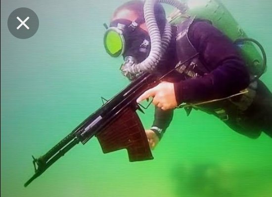 前リツイート〉 店長は水中での戦闘は専門外ですが、その他に付け足す