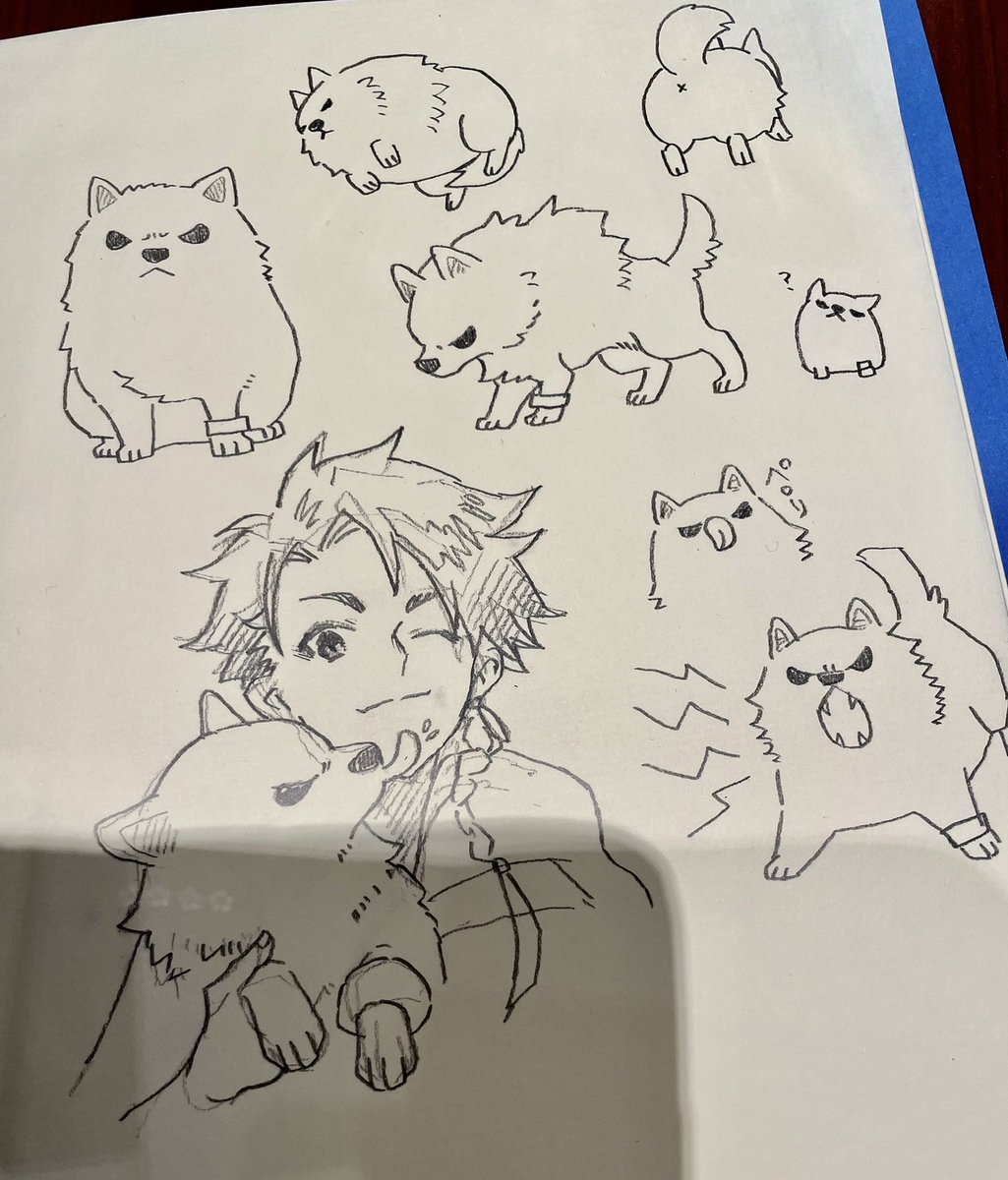 犬コレクション 