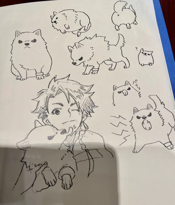 犬コレクション 