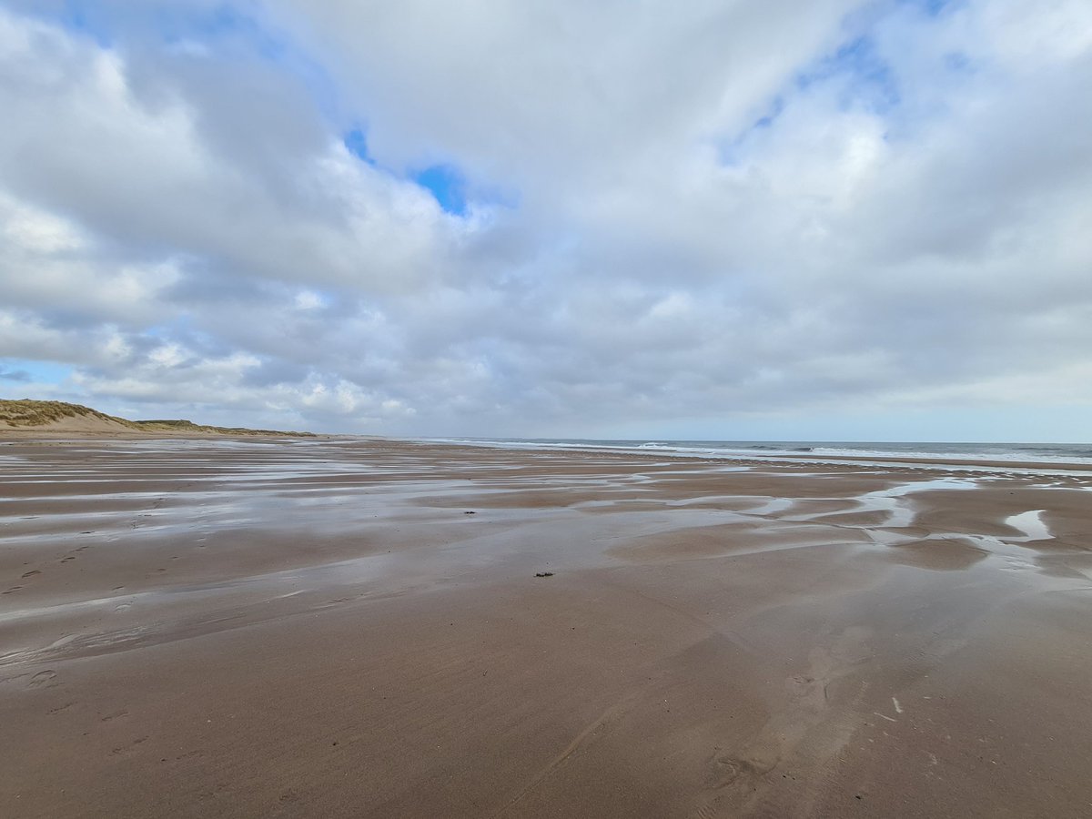 Brian Lumsdon 💙 tweet media