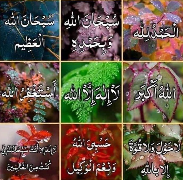 Follow <a href="/MalixSafdar/">Malix Safdar Hussain</a> 
#EagleOfIslam