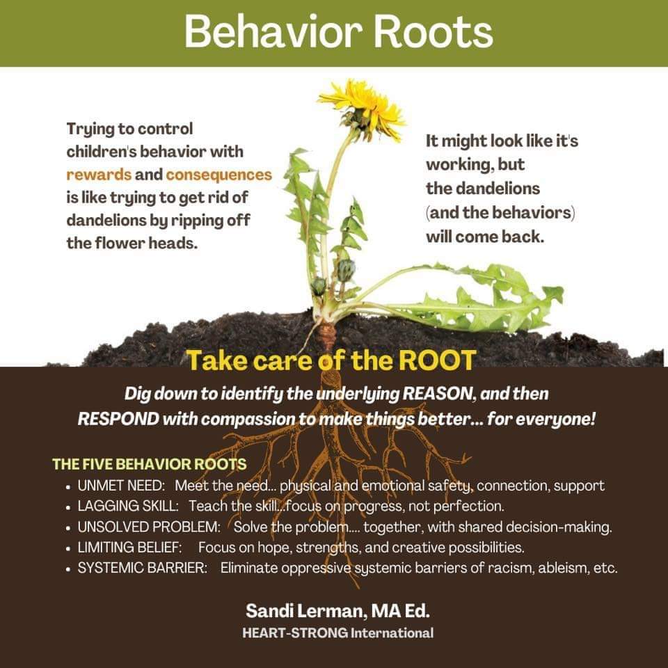 gerrydiamond71's tweet photo. Take time to look beneath the behaviour.What might be going on in this young person life.🧠🌱 https://t.co/IlbHRINbNi