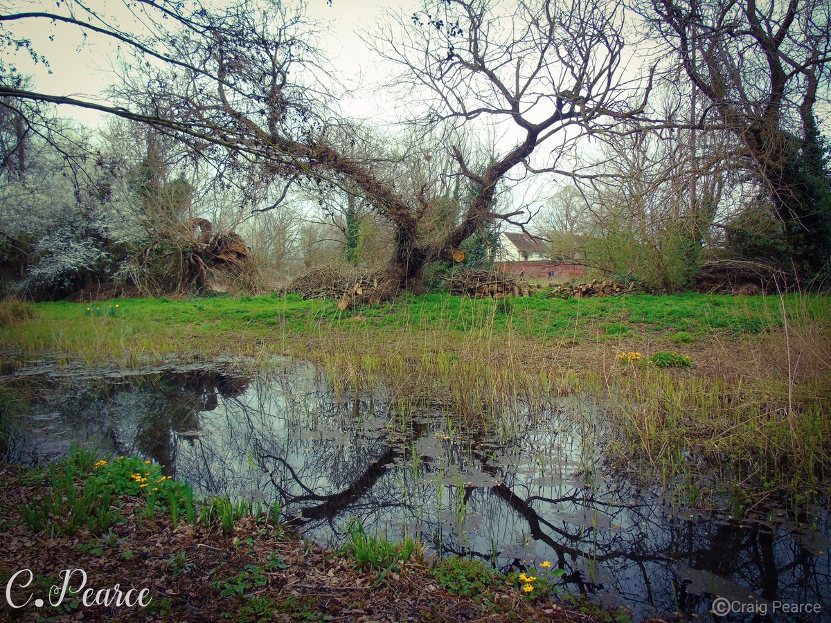 CoCroydon's tweet photo. Early morning rise. #photographer #photography #morningvibes #morningview #River #pond #lake #early #earlymorning #naturephotography #naturephoto #natureshots #nature #outdoors #outdoors #hike #hikinguk #wildlifephotographer #wildlife #water #intothewoods #woods https://t.co/I48L2xn2WA
