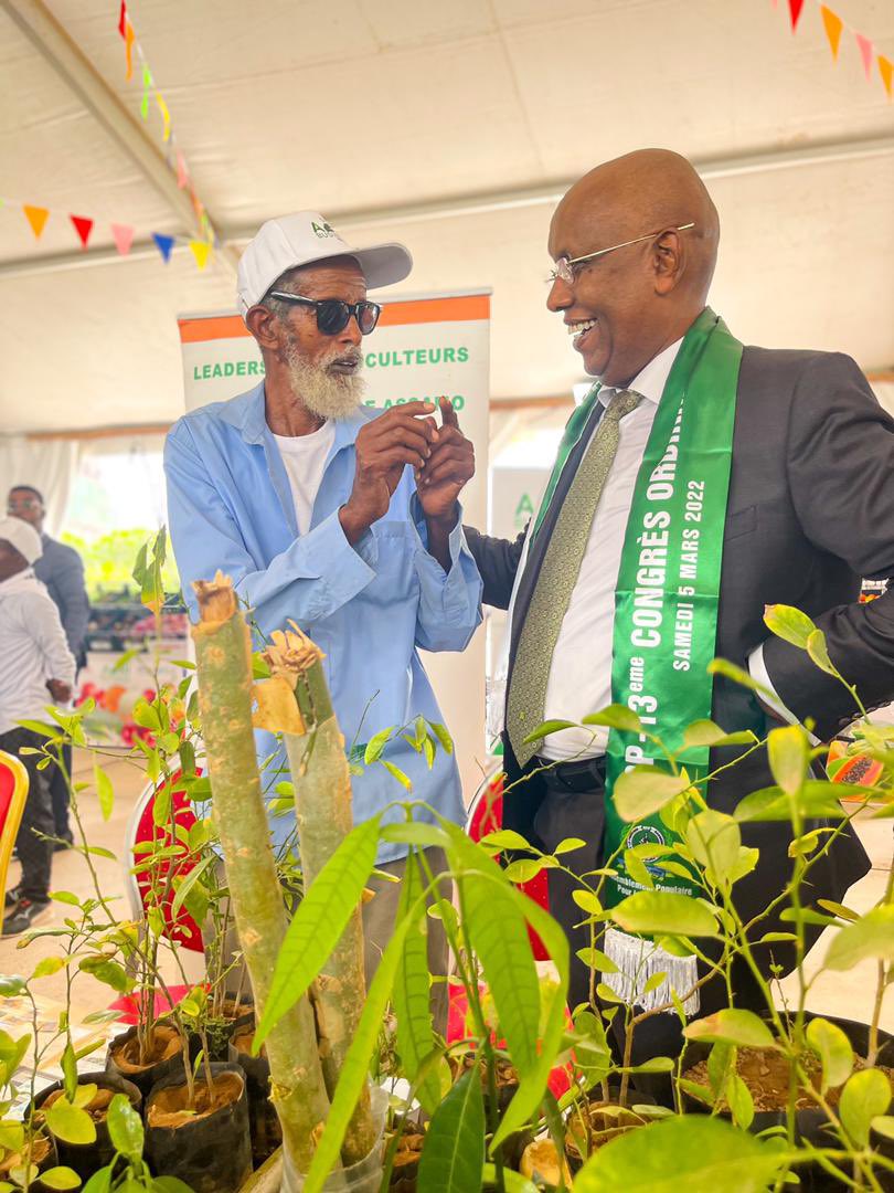 Ilyasdawaleh's tweet photo. Oui à #Djibouti et c’est réel. 200 Producteurs au Palais du Peuple. Allez faire un tour à l’Expo. Exceptionnellement Riche en variétés, #Moringa #Stavia #Aloevera #Menthe #Patate Douce, Légumes, Fruits. Bravo à Djibouti Rizing team @centre_cle @US_Emb_Djibouti @PNUDDjibouti 👏🤝 https://t.co/fK7T8d1w8l