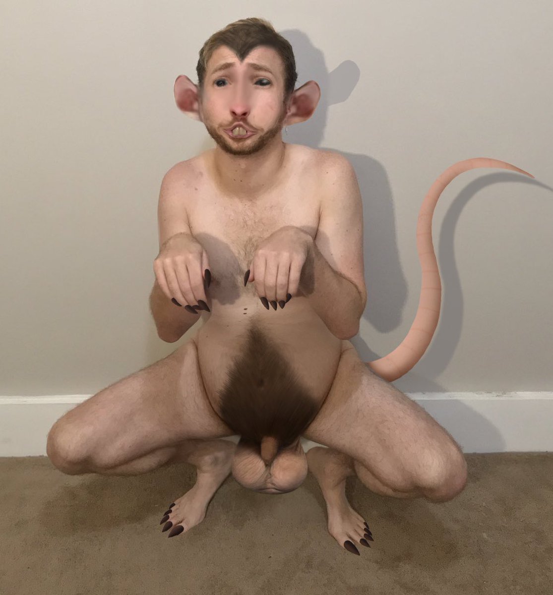 Pup_Aeson's tweet photo. My lab assistant @SydBoySlut messed up my latest experiment… AGAIN! I’ve had enough. It’s time I change him into something actually useful. If he can’t conduct experiments, at least he can be the subject of them. #AnimalTF #transformation #RatTF https://t.co/7igGgQV6KX