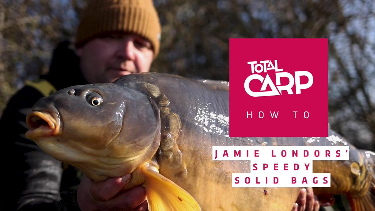 TotalCarpMag tweet media