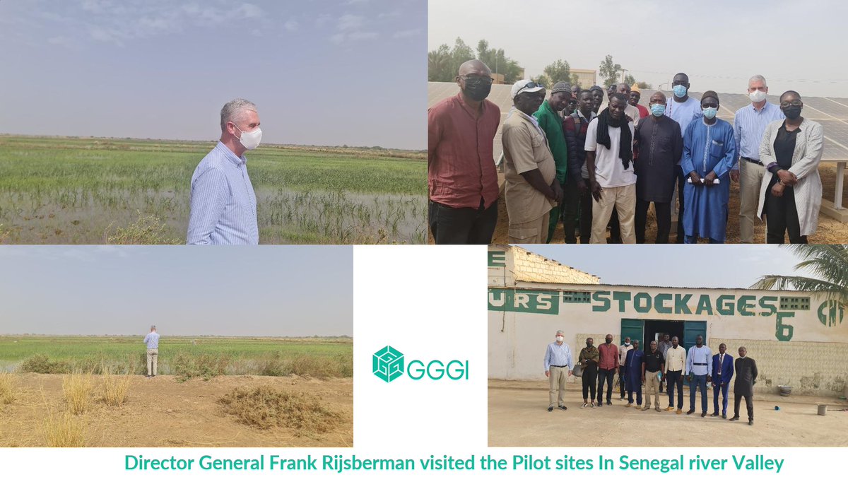 As part of the 🇸🇳 stay for #WWF2022 our DG @FrankRijsberman visited pilot sites for #CSA & #Pumpsolarization in the River Valley, also rice mills that #GGGI supported on the #energyefficiency audit #CSA #ClimateResiliency #ClimatesmartAgriculture #greengrowth